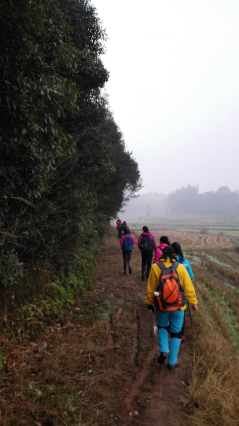 1451318351101647.png blob.png