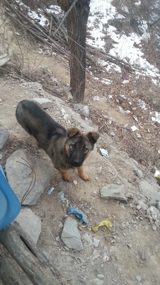 1451551999970661.png blob.png