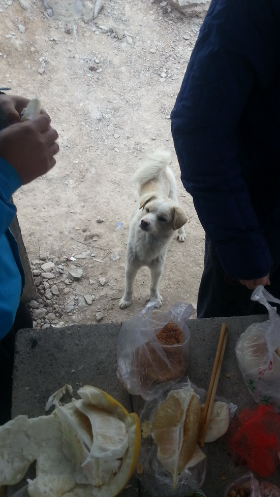 1451552035592820.png blob.png