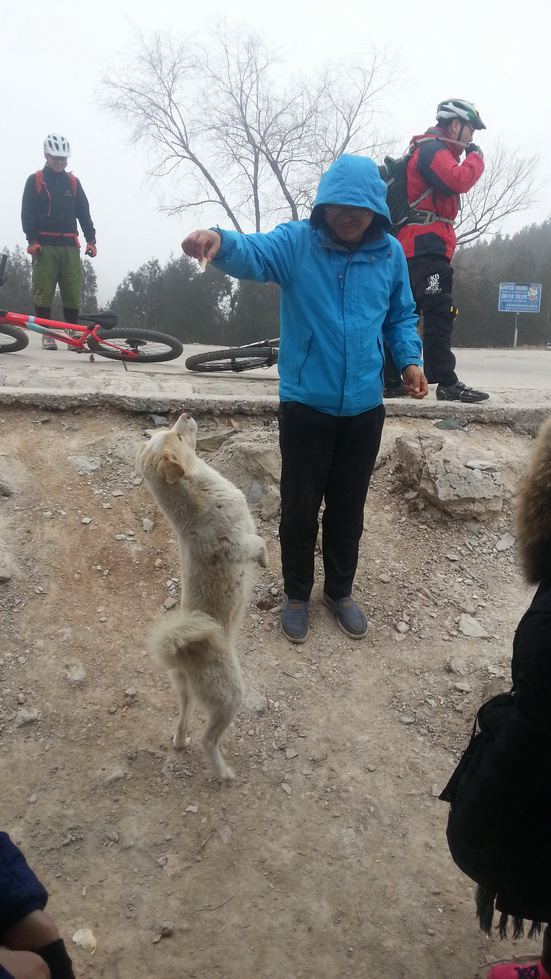 1451552066962789.png blob.png