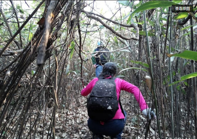 1455338668798002.png blob.png